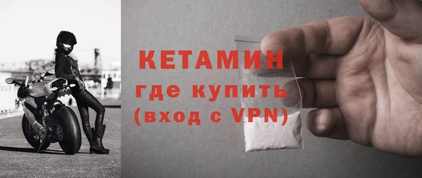 амф Дмитриев