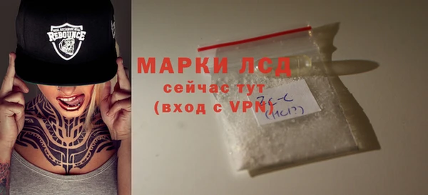 гидра Магас
