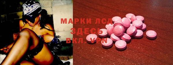 гидра Магас