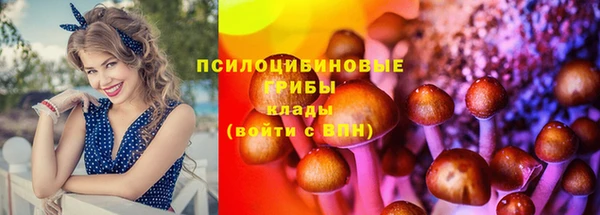 гидра Магас